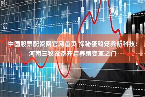 中国股票配资网官网首页 探秘蛋鸭笼养新科技：河南三牧设备开启养殖变革之门