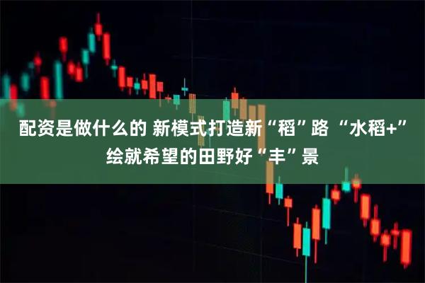 配资是做什么的 新模式打造新“稻”路 “水稻+”绘就希望的田野好“丰”景
